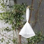 Objesite vrećicu vode na granu i NEĆETE vjerovati što se dogodi