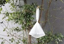 Objesite vrećicu vode na granu i NEĆETE vjerovati što se dogodi