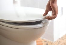 Zašto ne biste trebali ostaviti poklopac WC školjke otvoren – zapamtite doživotno