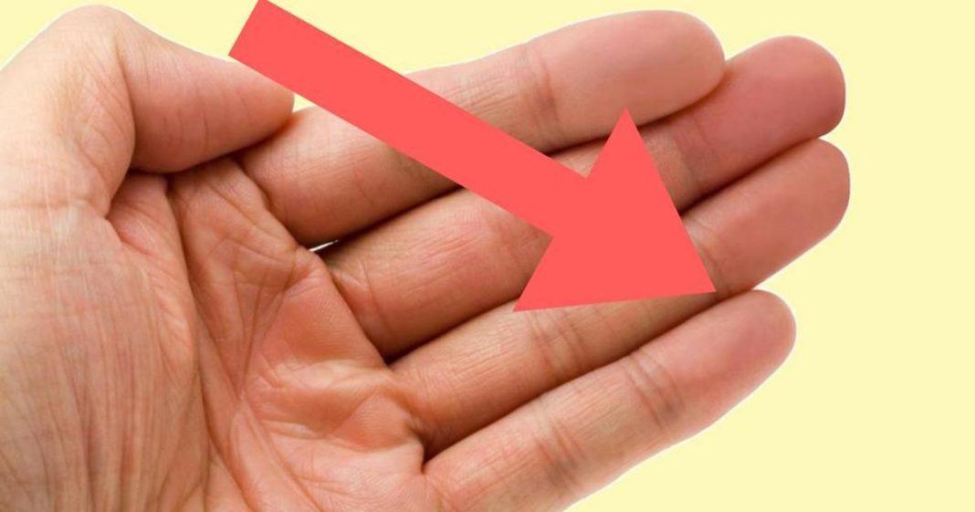 9961587da340e697dbeb