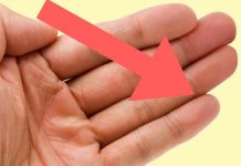 Pogledaj svoj domali prst — i šta (zaista) može da otkrije o tebi