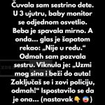 “Čuvala sam sestrino dete. U 3 ujutru, baby monitor se odjednom upalio…”