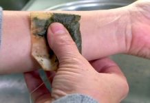 NEMOJTE bacati kesice od caja. Umjesto toga uradite OVE stvari