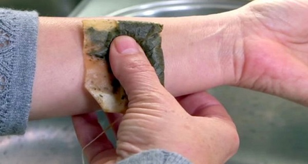 Don’t-Throw-Away-Your-Tea-Bags-–-Here-are-17-Things-You-Can-Do-Instead