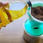 Uzmite obično ulje, ulijte ga u kafu i zapamtite ovaj savjet: Radim to svake godine i preporučujem svima!