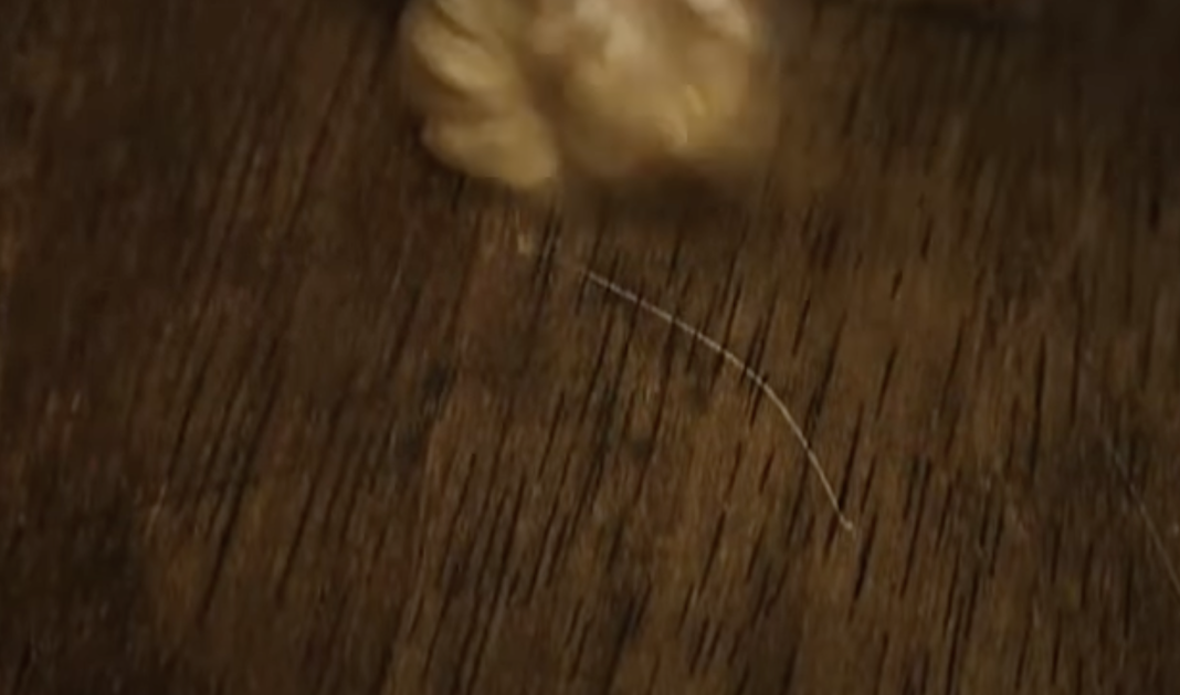 Screenshot 2026-02-01 at 11.55.21