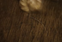 Ogrebotine na drvenom podu i namještaju nestat će u par poteza: ‘Samo uzmite ovaj orašasti plod‘