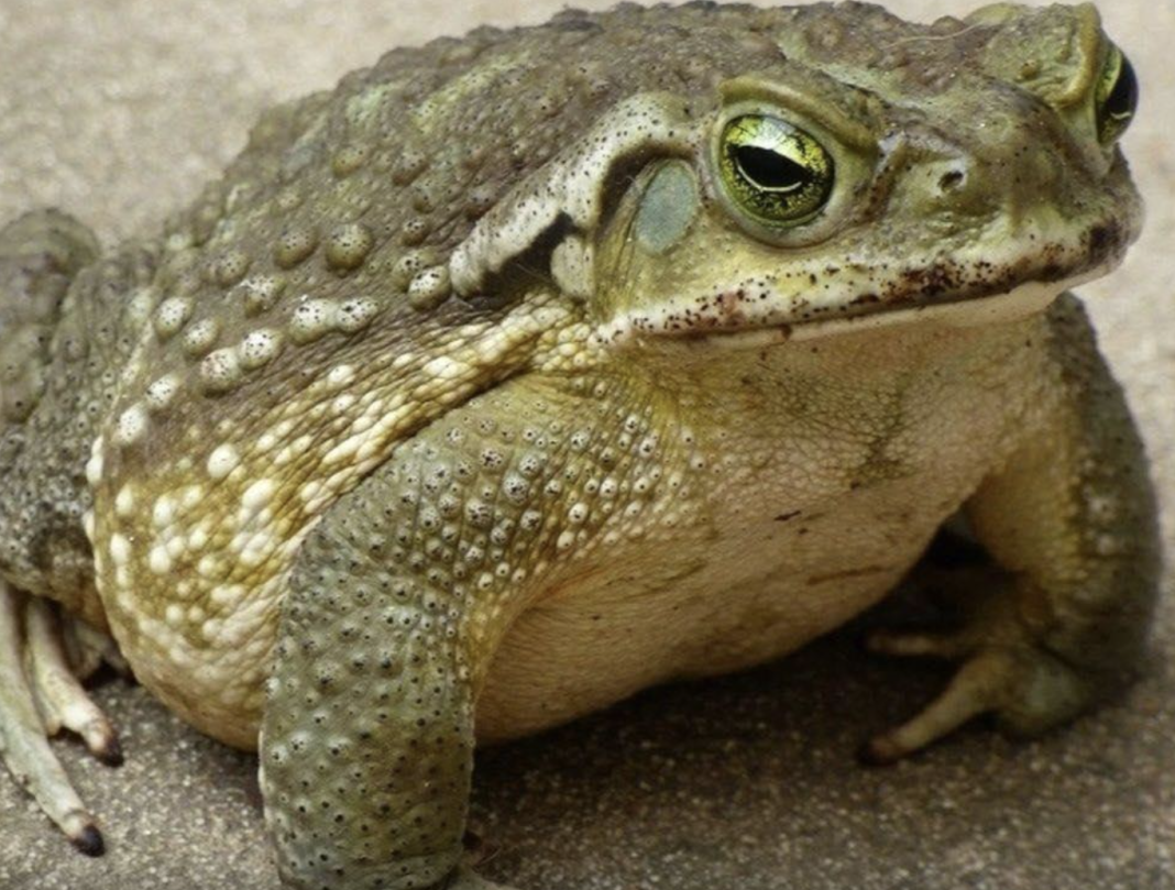 Screenshot 2026-02-14 at 21.23.28