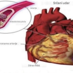Evo kako pijenje čase vode na prazan želudac moze da djeluje na vaš organizam