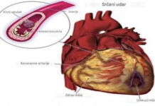 Evo kako pijenje čase vode na prazan želudac moze da djeluje na vaš organizam
