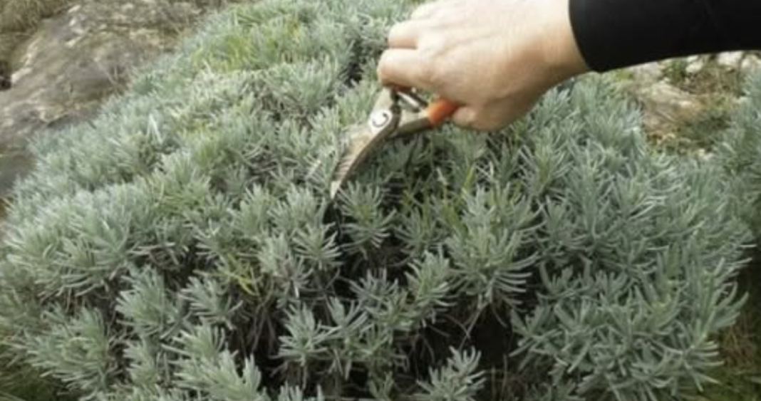 Screenshot 2026-02-17 at 21.52.48