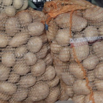 Djed ga je uvijek bacao u vreću s krompirom i trajali su do sljedeće žetve: Nijedan nije proklijao!