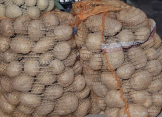 Djed ga je uvijek bacao u vreću s krompirom i trajali su do sljedeće žetve: Nijedan nije proklijao!