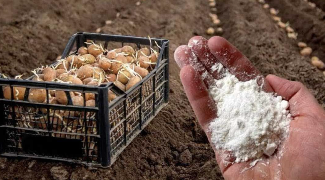 Screenshot 2026-02-25 at 01.10.56