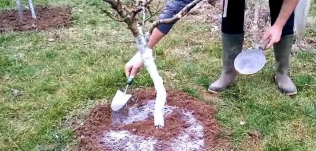 Screenshot 2026-02-25 at 23.01.50