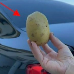 Imati 1 krompir u autu može vam spasiti život i niko vam to neće reći!