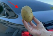 Imati 1 krompir u autu može vam spasiti život i niko vam to neće reći!