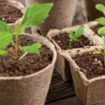 NE BACAJTE ROLNE OD WC PAPIRA: Žena napravila čudo – OVO PROLJEĆE SVI ĆE GLEDATI U NJENO DVORIŠTE