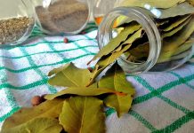 Stavite lovorov list ispod tepiha i sutra ujutro ćete se riješiti svakodnevnih problema.