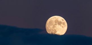 Za ova 2 znaka februar je prelomni mesec: Tamara Globa dala jasne prognoze, evo šta ih očekuje