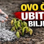 GLAVNA GREŠKA S PEPELOM! Ove biljke neće nahraniti, nego će ih UNIŠTITI!
