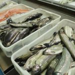 Lekar otkriva koja riba iz konzerve jedina čuva srce i mozak, a ne košta mnogo: Evo zašto je ona broj 1