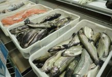 Lekar otkriva koja riba iz konzerve jedina čuva srce i mozak, a ne košta mnogo: Evo zašto je ona broj 1