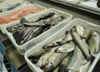 Lekar otkriva koja riba iz konzerve jedina čuva srce i mozak, a ne košta mnogo: Evo zašto je ona broj 1