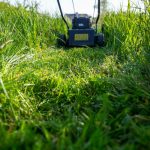 Ujutru ili uveče: Ovo je idealno vrijeme za košenje trave, jedino tako ćete imati najljepši travnjak