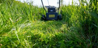 Ujutru ili uveče: Ovo je idealno vrijeme za košenje trave, jedino tako ćete imati najljepši travnjak