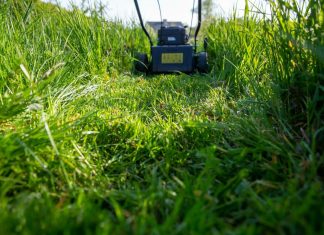 Ujutru ili uveče: Ovo je idealno vrijeme za košenje trave, jedino tako ćete imati najljepši travnjak