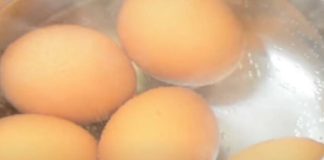 AKO VIDITE OVAKVA JAJA, NE KUPUJTE IH NI DA SU U POLA CENE! Svi gledaju u ROK TRAJANJA i DATUM, a TO NIJE SVE