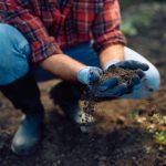 Ovaj začin tera štetočine i biljke se oporave za par dana: Trik iz kuhinje rešava i buđ