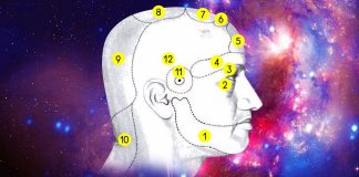 KOD GLAVOBOLJE, MORATE LIJEČITI ORGAN U KOME SE BOLEST JAVLJA, A NE GLAVU