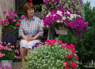 U aprilu počinje pravo proleće u dvorištu: Posadite ovo cveće i cvetaće mesecima