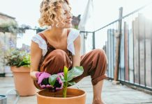 3 super lake sobne biljke za početnike: Oprostiće vam ako zaboravite da ih zalijete, gotovo ih je nemoguće “ubiti”