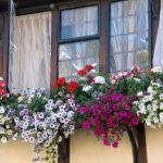 U ovo doba dana obavezno otvorite prozore na 10 minuta: Stručnjaci tvrde da tako čuvate zdravlje