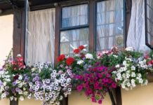 U ovo doba dana obavezno otvorite prozore na 10 minuta: Stručnjaci tvrde da tako čuvate zdravlje