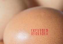 Šta znače oznake na jajima i da li su veća jaja zaista bolja? Važnije od veličine je da čitate ovo