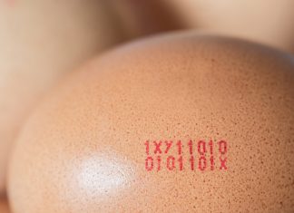 Šta znače oznake na jajima i da li su veća jaja zaista bolja? Važnije od veličine je da čitate ovo