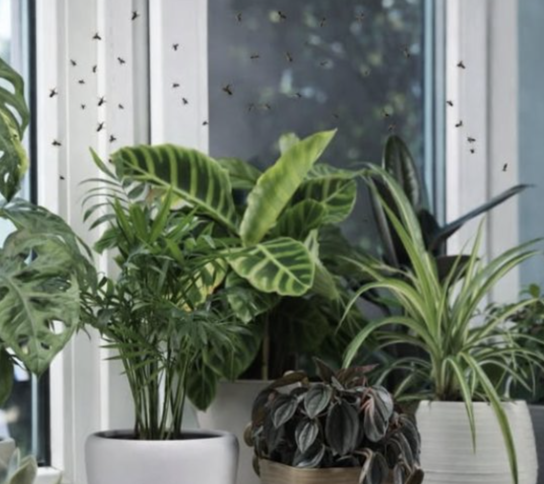 Screenshot 2026-03-24 at 06.04.45