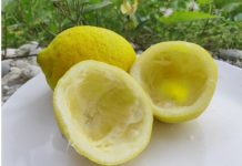 Uzmite koru od limuna i samo uradite ovo: Sudovi će biti blistavi kao nikad pre