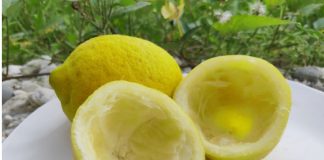 Uzmite koru od limuna i samo uradite ovo: Sudovi će biti blistavi kao nikad pre