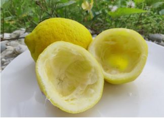 Uzmite koru od limuna i samo uradite ovo: Sudovi će biti blistavi kao nikad pre