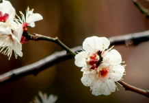 April 2026. donosi jasan zaokret u životu ova četiri znaka Zodijaka!