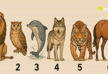 Zanima te šta se zapravo pomisli kad neko spomene tvoje ime? Odaberi životinju i otkrij istinu koju drugi ne govore naglas