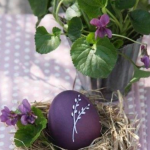 Zašto se za Uskrs farbaju jaja u LJUBIČASTO? Ove prirodne namirnice daju savršene nijanse – od lila do patlidžan boje