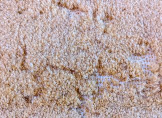 Ako ovakve tragove uočite na tepihu, u domu imate opasnu štetočinu