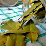 Nema više smrada u kući: TRIK sa lovorovim listom bez kojeg više nikada nećete imati problema!