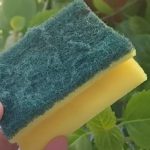 Ne bacajte stari sunđer: Malo ko zna koliko je zapravo koristan u kući